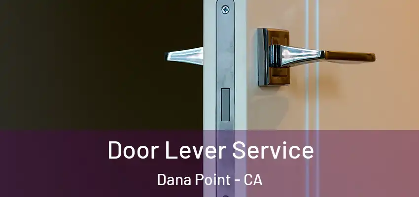  Door Lever Service Dana Point - CA
