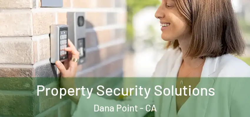  Property Security Solutions Dana Point - CA